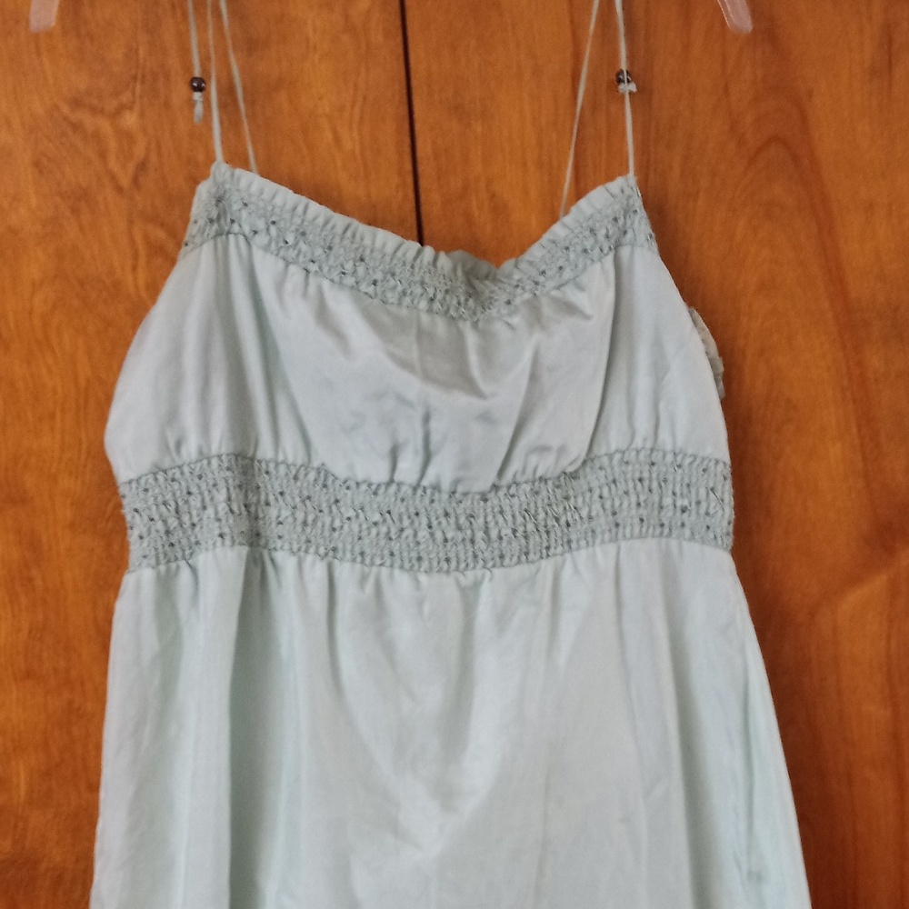 Pale Green Silk Dress